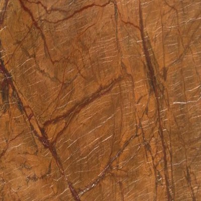 Rain Forest Brown